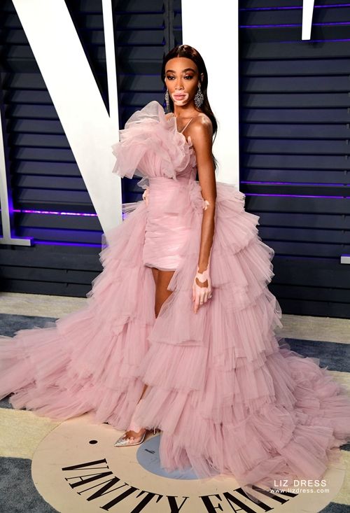 Winnie Harlow Pink Tulle Celebrity ...