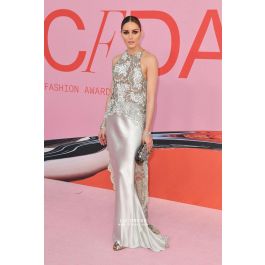 red carpet silver dress