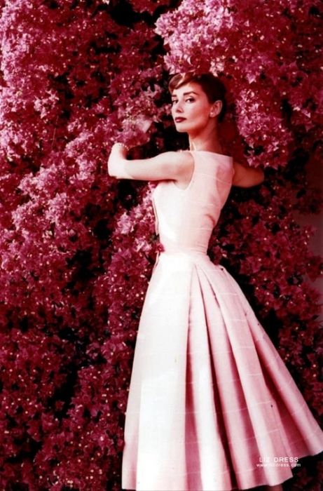 Beautiful Fashions of Audrey Hepburn in the 1950s ~ vintage