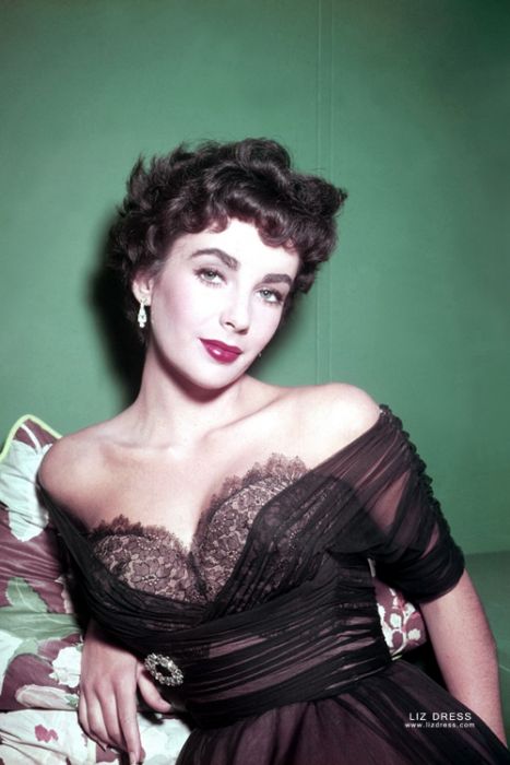 1950s shop chiffon dress