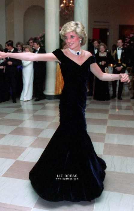 navy blue velvet gown